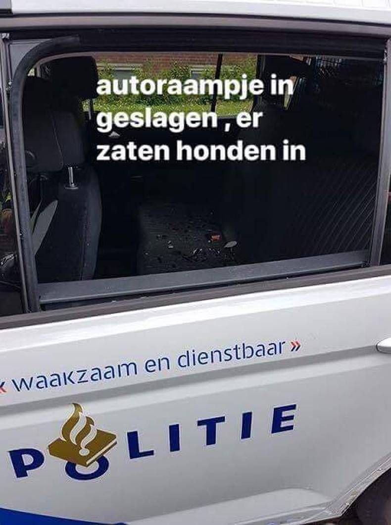 Gewoon een verzameling hilarische foto's #1470