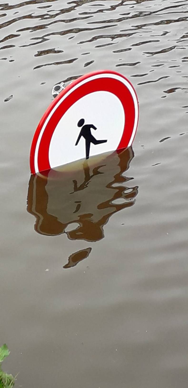 Gewoon een verzameling hilarische foto's #1427
