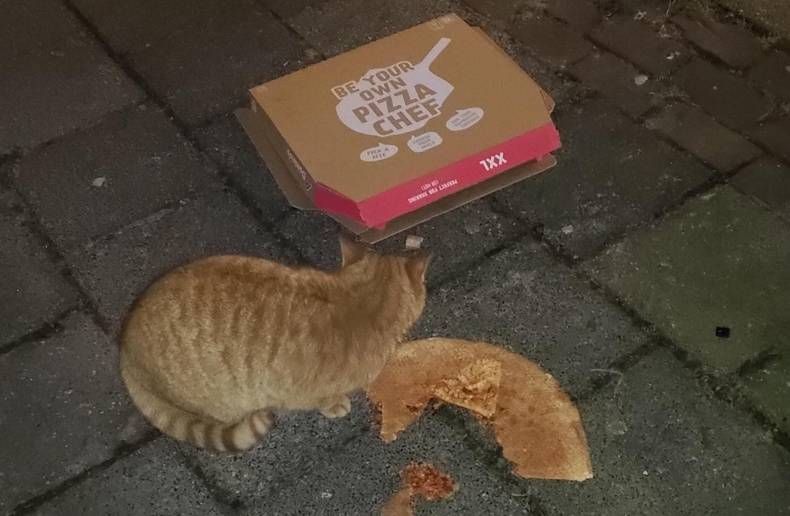 Gewoon een verzameling hilarische foto's #1411