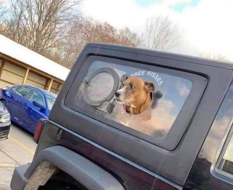 Gewoon een verzameling hilarische foto’s #1457