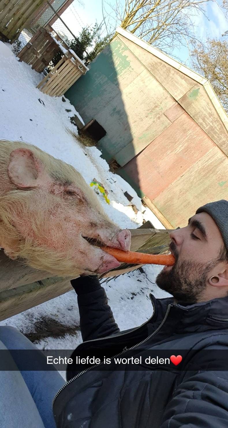 Gewoon een verzameling hilarische foto's #1402