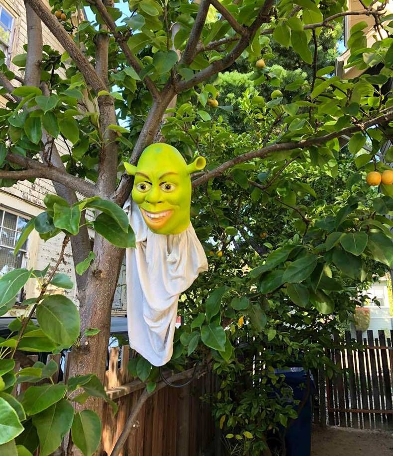 Gewoon een verzameling hilarische foto’s #1480