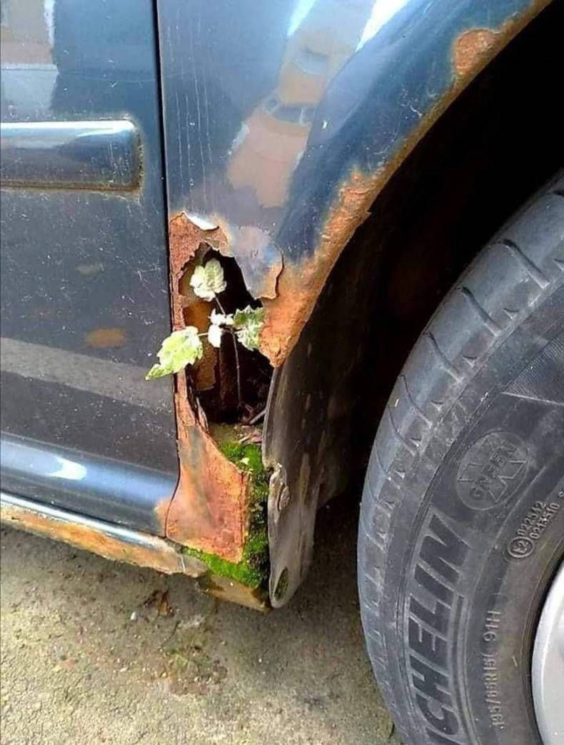 Gewoon een verzameling hilarische foto's #1432