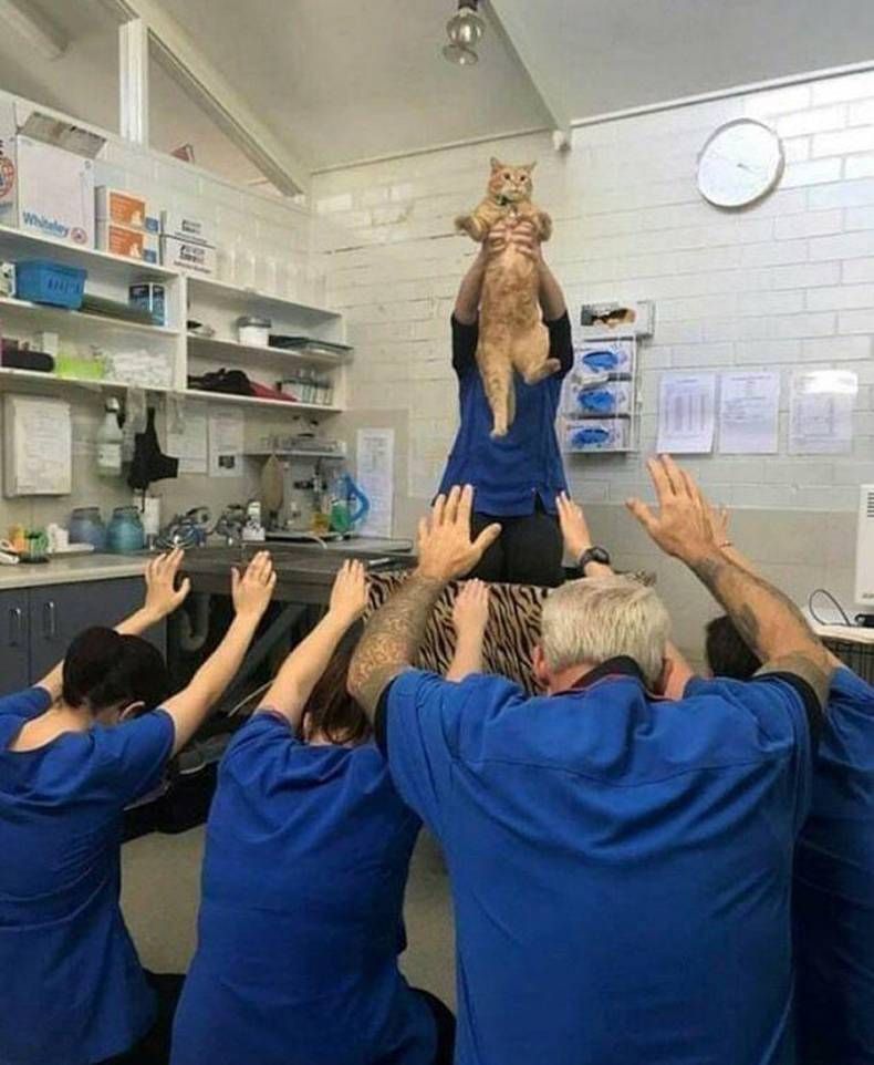 Gewoon een verzameling hilarische foto's #1419