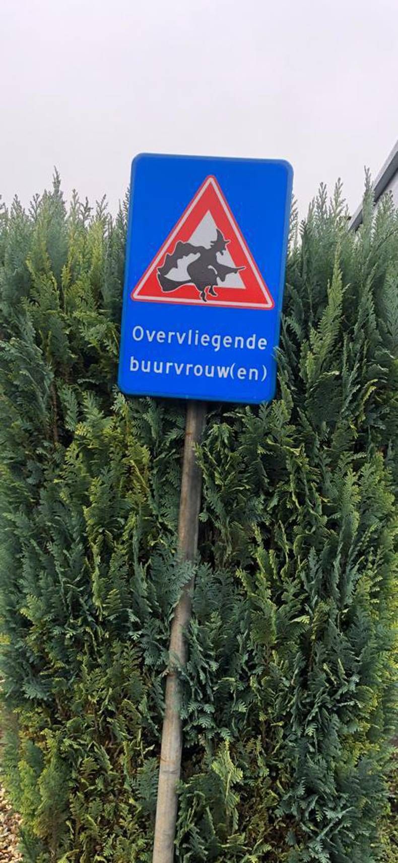 Gewoon een verzameling hilarische foto’s #1400