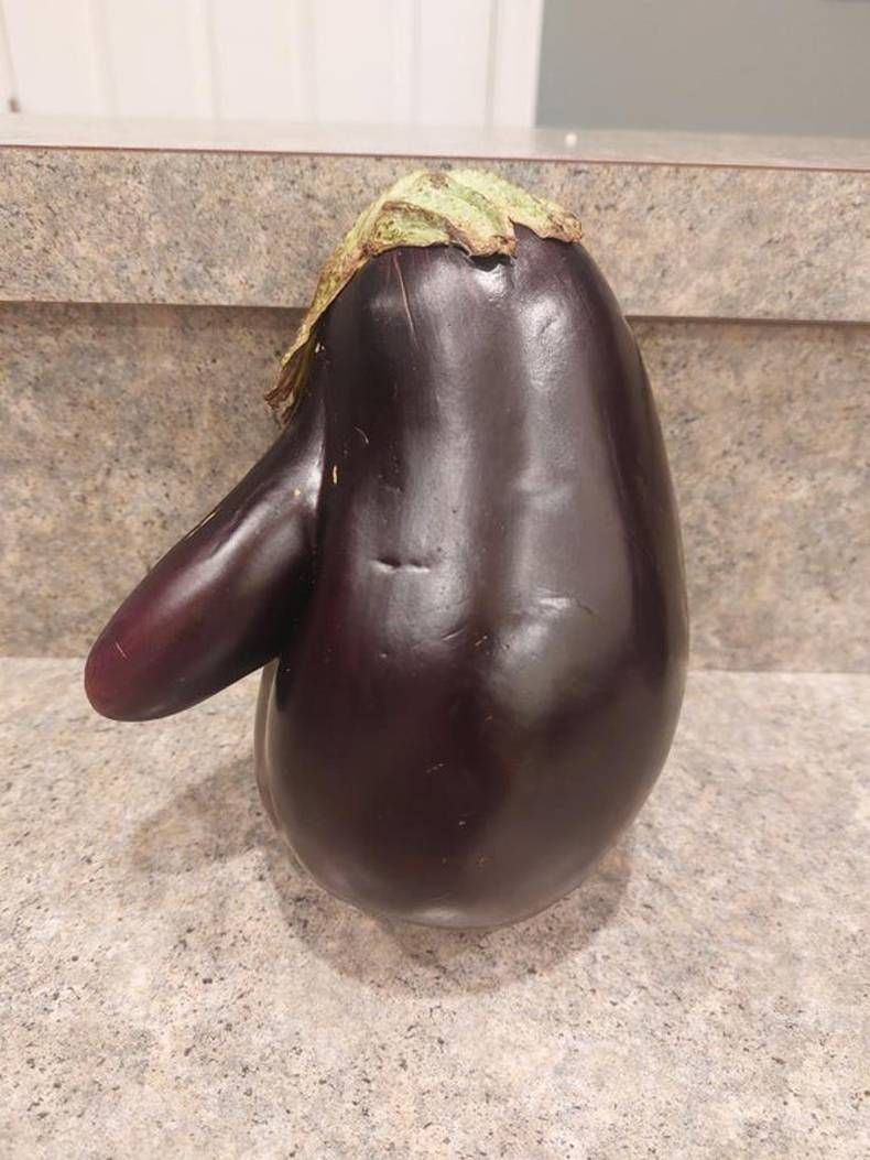 Gewoon een verzameling hilarische foto's #1484