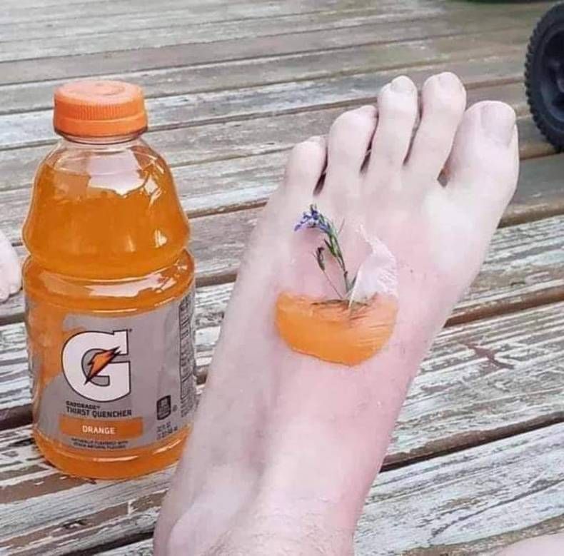 Gewoon een verzameling hilarische foto’s #1397