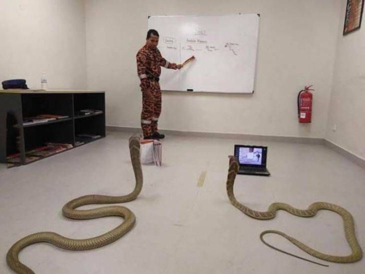 Gewoon een verzameling hilarische foto's #706