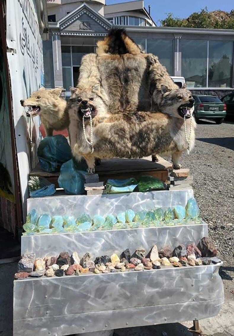 Gewoon een verzameling hilarische foto's #1137