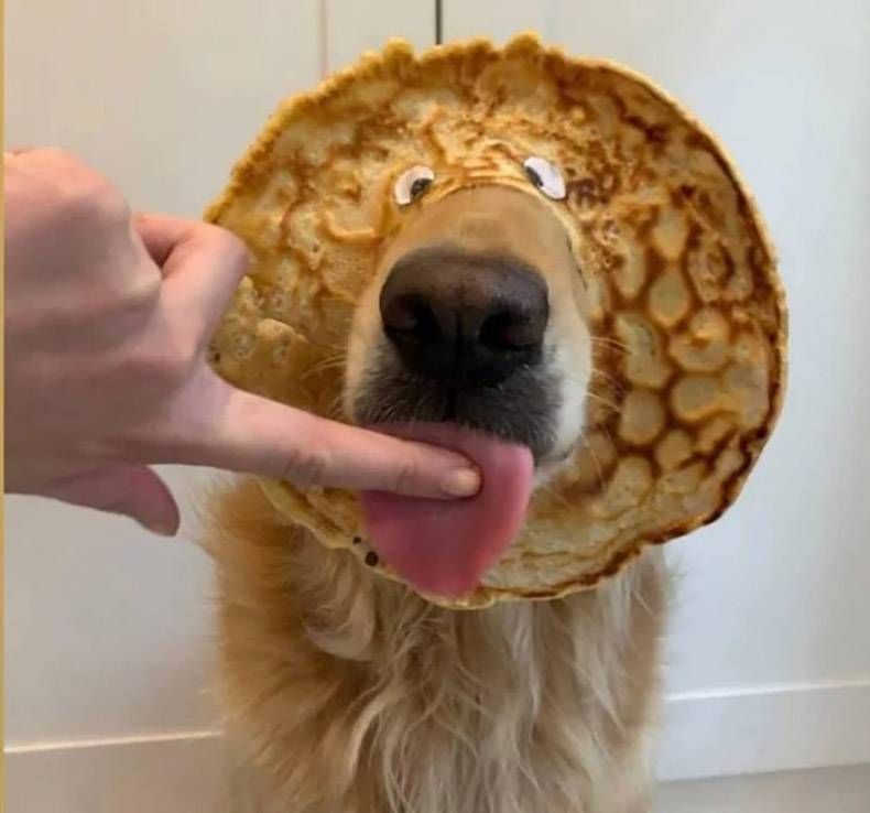 Gewoon een verzameling hilarische foto's #1115