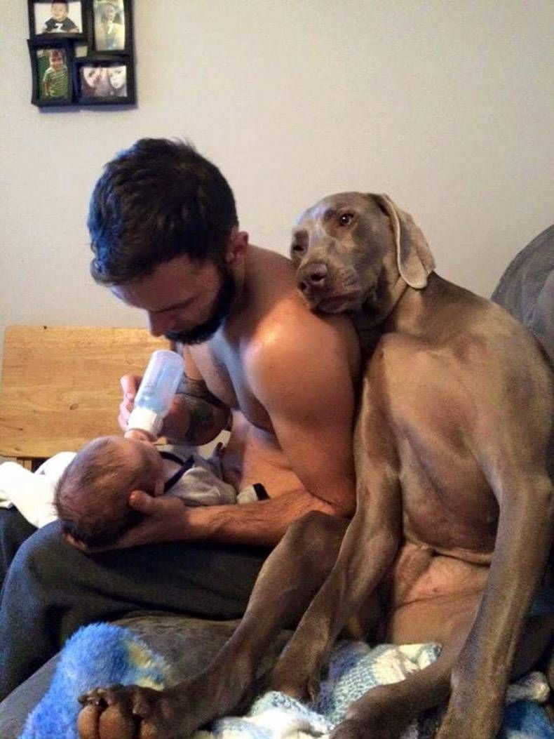 Gewoon een verzameling hilarische foto's #885