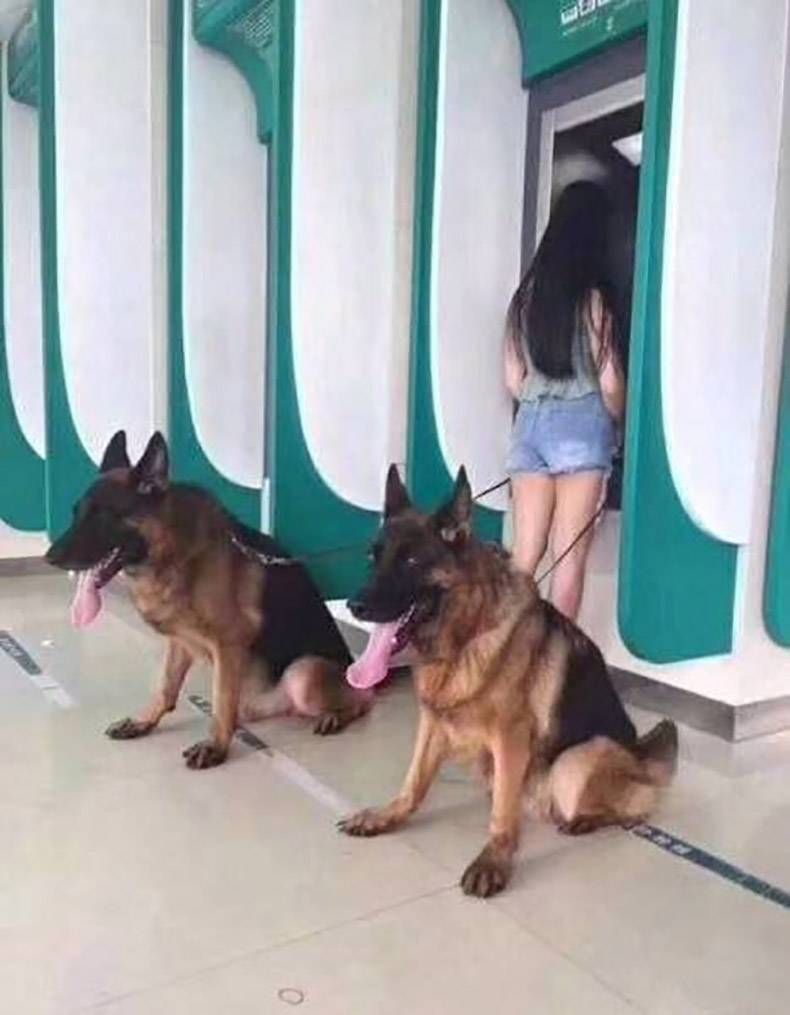 Gewoon een verzameling hilarische foto's #871
