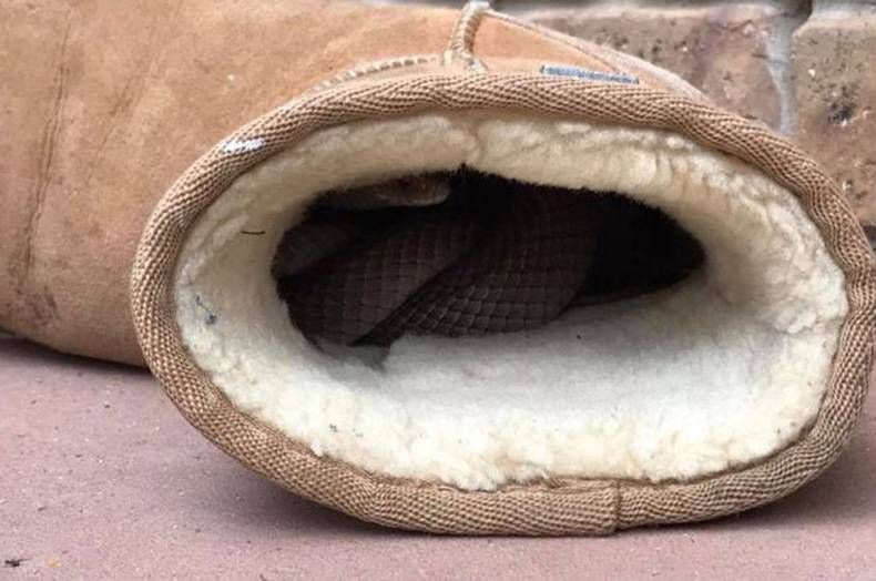 Gewoon een verzameling hilarische foto's #714