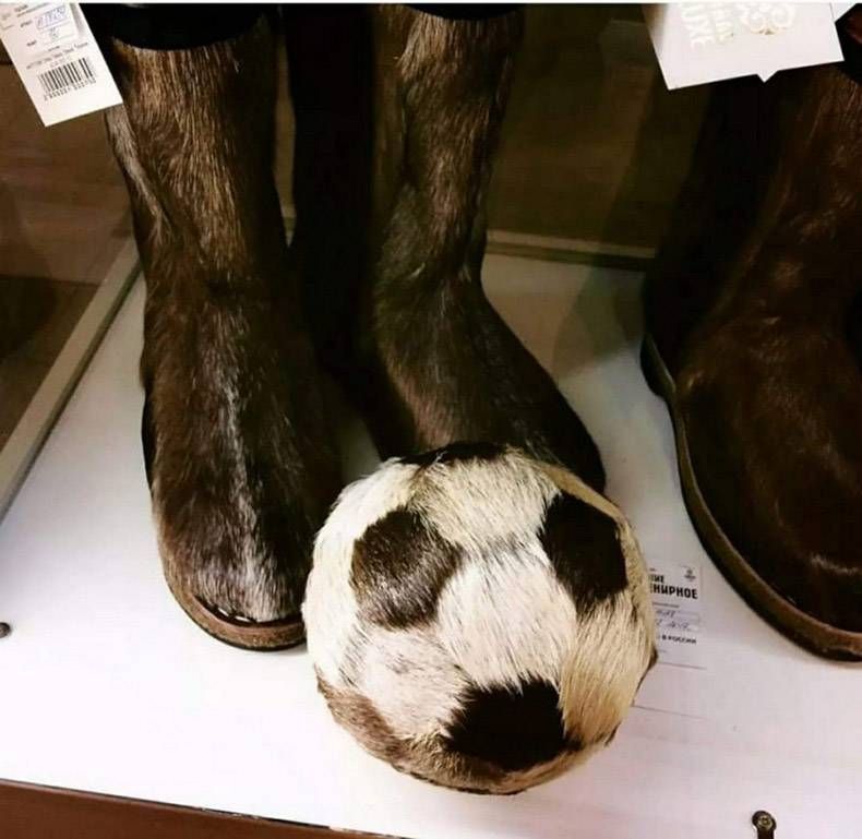 Gewoon een verzameling hilarische foto's #997