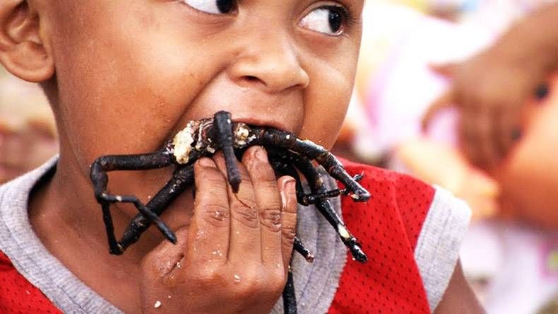 Gewoon een verzameling hilarische foto's #936