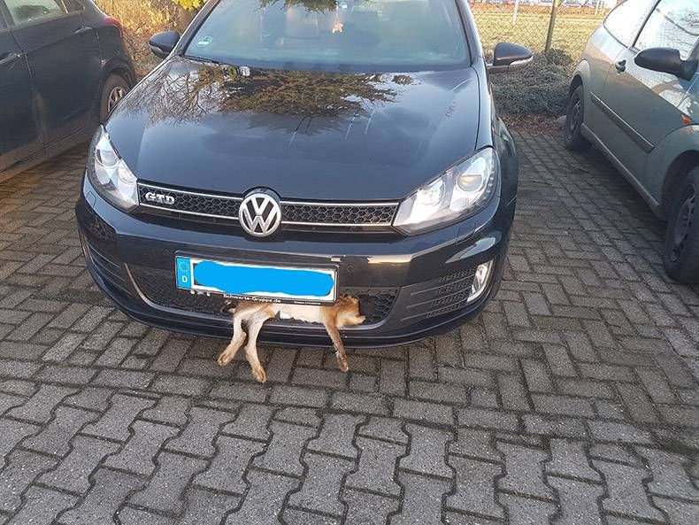 Gewoon een verzameling hilarische foto's #786