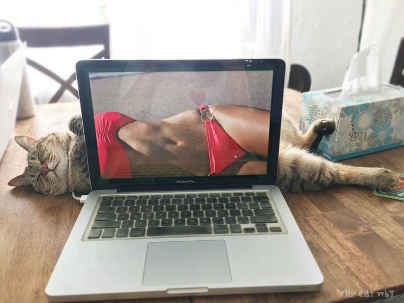 Gewoon een verzameling hilarische foto's #708