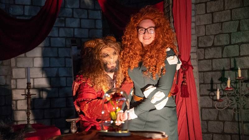 Heroes Dutch Comic Con 2019 in beeld