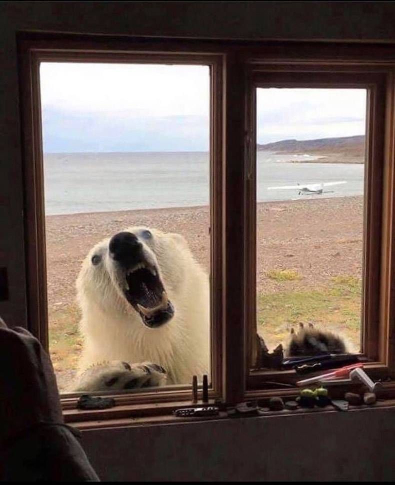 Gewoon een verzameling hilarische foto's #1337