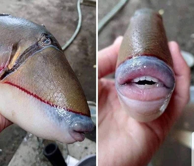 Gewoon een verzameling hilarische foto's #1312