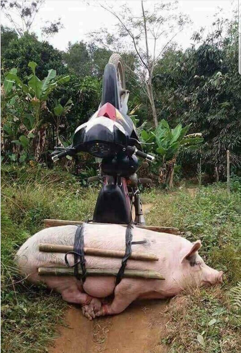 Gewoon een verzameling hilarische foto's #1081