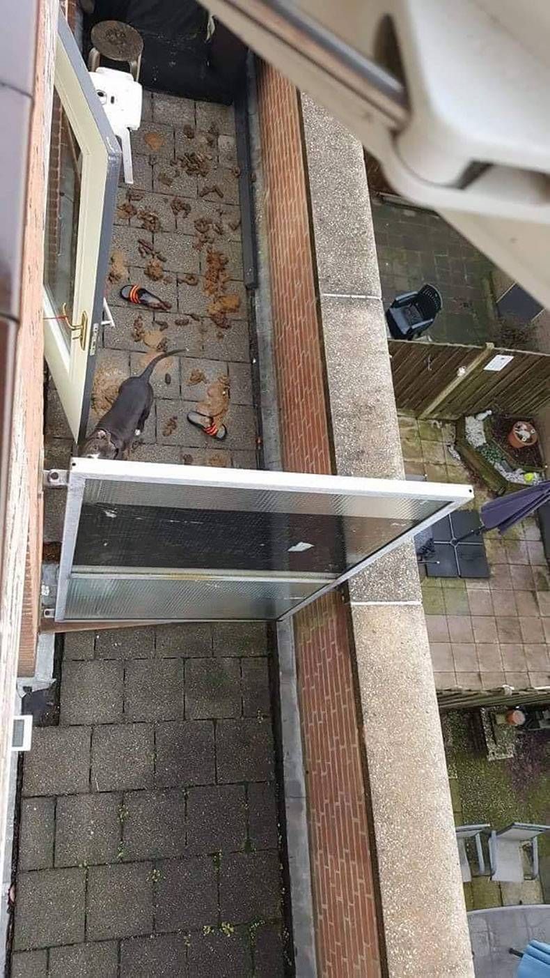 Gewoon een verzameling hilarische foto's #764