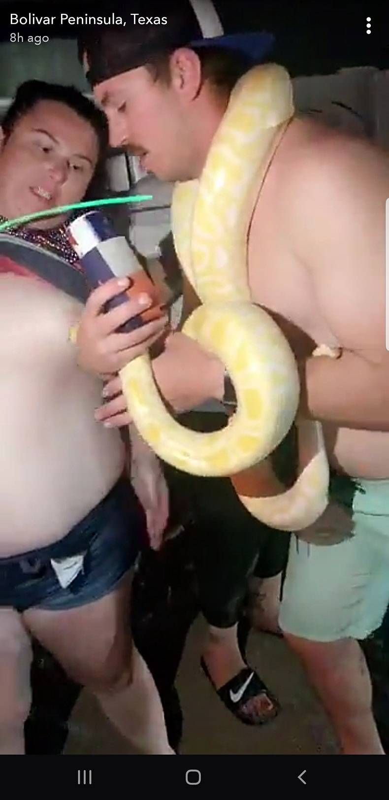 Gewoon een verzameling hilarische foto's #1129