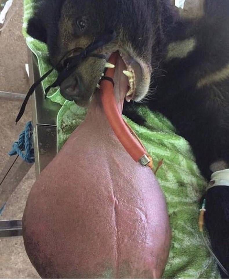 Gewoon een verzameling hilarische foto's #1114