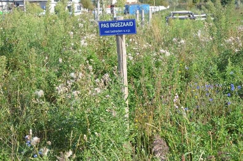 Gewoon een verzameling hilarische foto's #1340