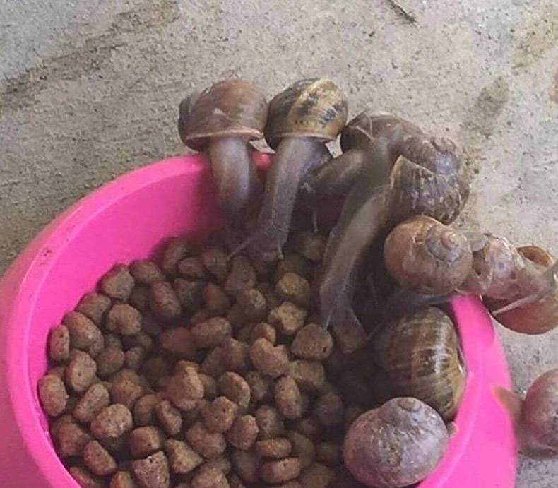 Gewoon een verzameling hilarische foto's #985