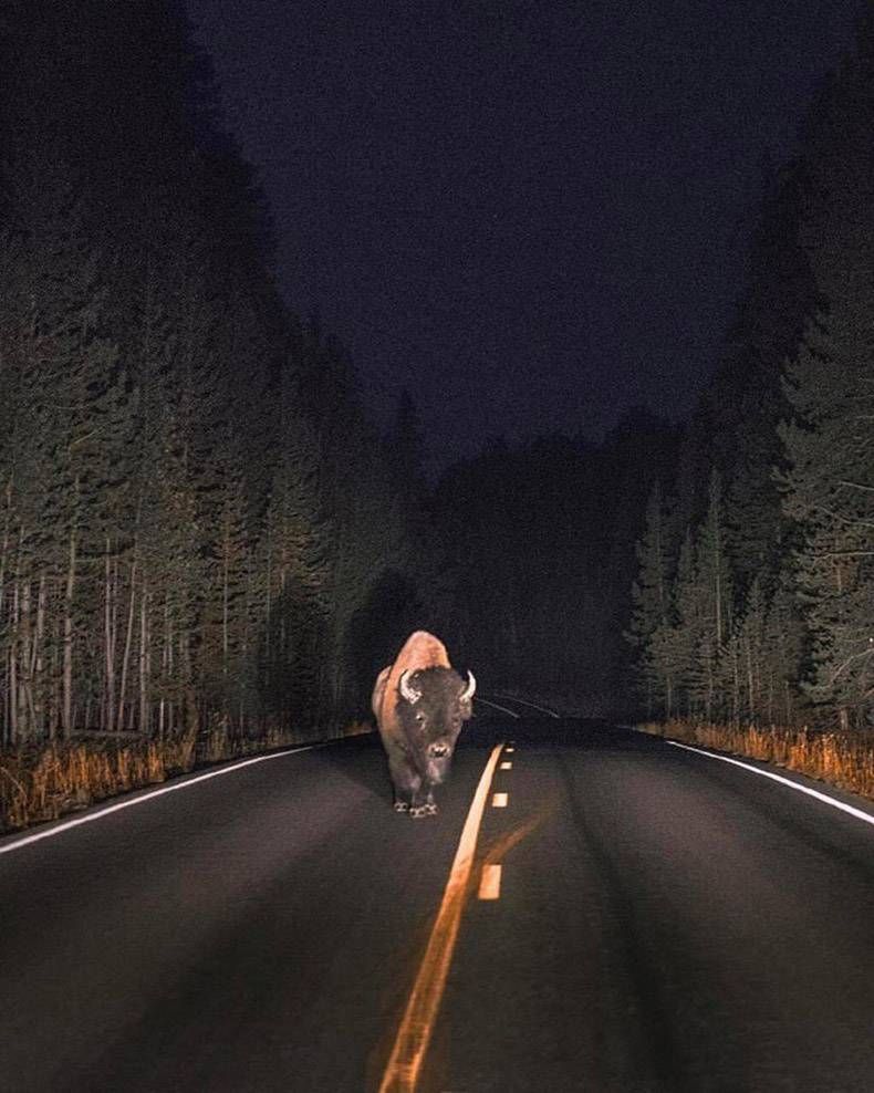 Gewoon een verzameling hilarische foto's #957