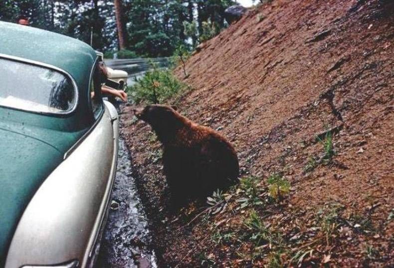 Gewoon een verzameling hilarische foto’s #761