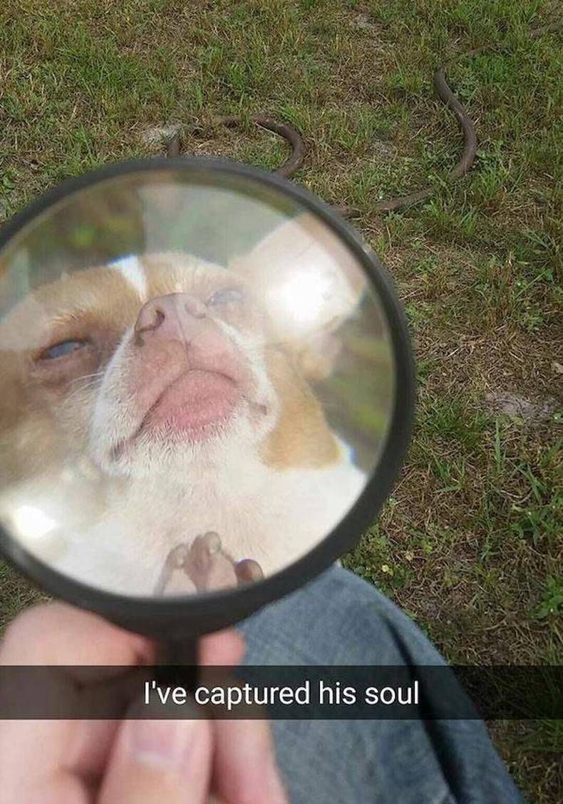 Gewoon een verzameling hilarische foto's #1396
