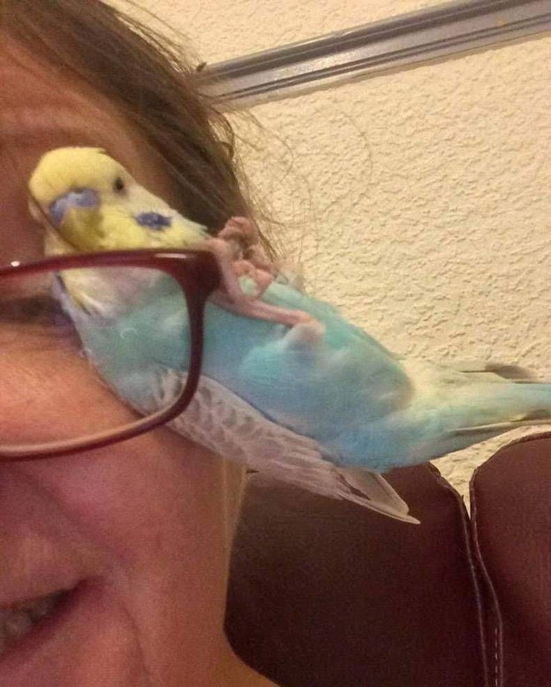 Gewoon een verzameling hilarische foto's #1285