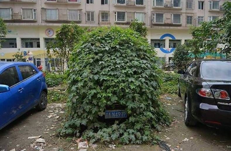 Gewoon een verzameling hilarische foto's #1156