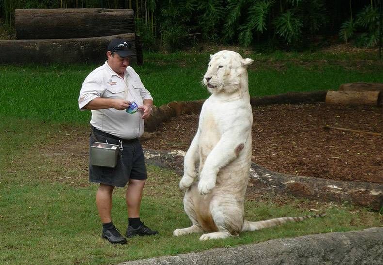 Gewoon een verzameling hilarische foto's #959