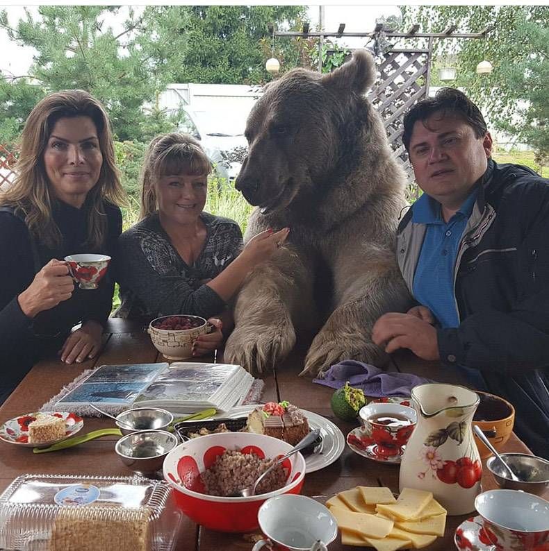 Gewoon een verzameling hilarische foto’s #858