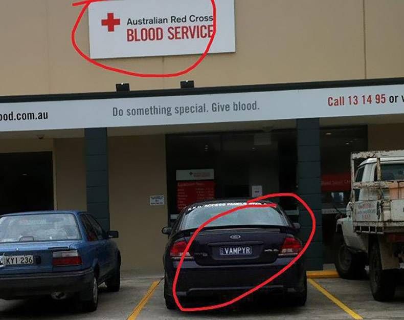 Gewoon een verzameling hilarische foto's #814