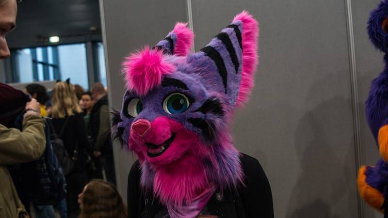 Gewoon mooie foto's van de Dutch Comic Con Winter Editie 2017