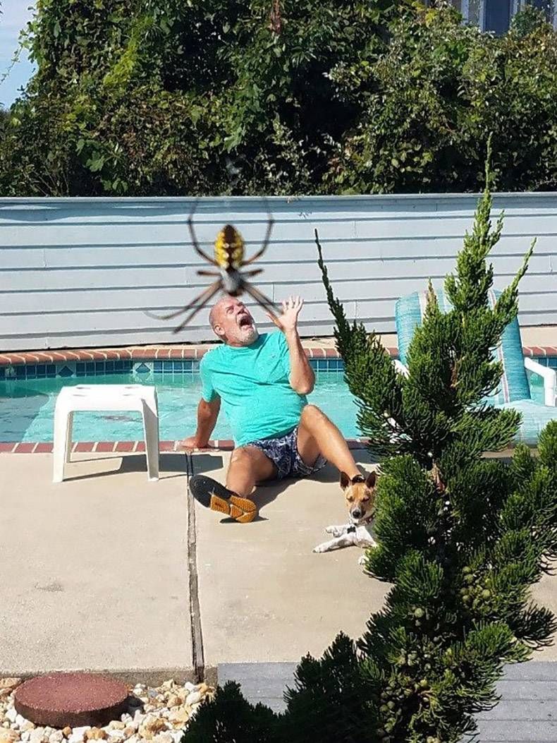 Gewoon een verzameling hilarische foto's #870
