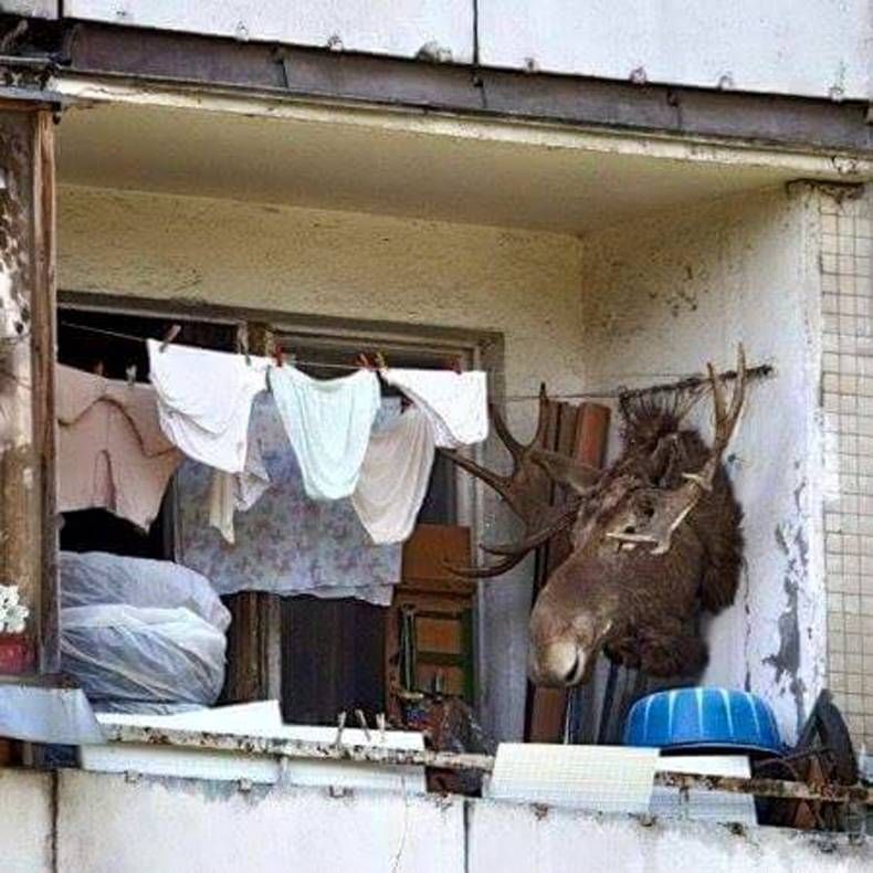 Gewoon een verzameling hilarische foto's #713
