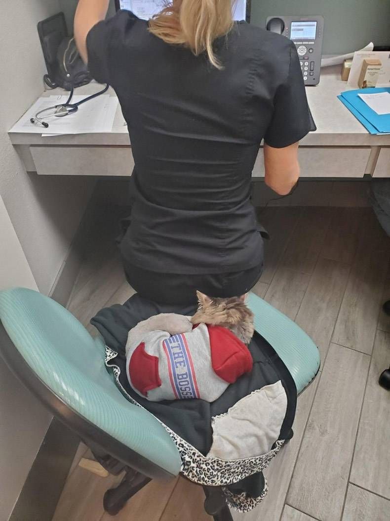 Gewoon een verzameling hilarische foto's #1246