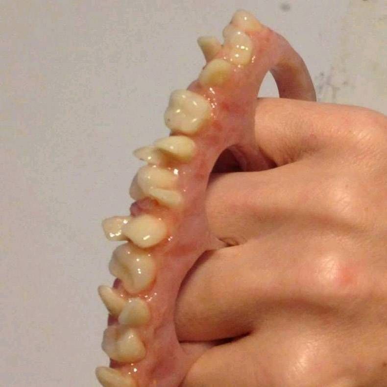 Gewoon een verzameling hilarische foto's #898