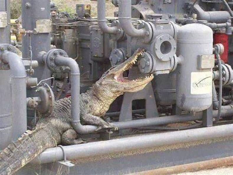 Gewoon een verzameling hilarische foto's #772