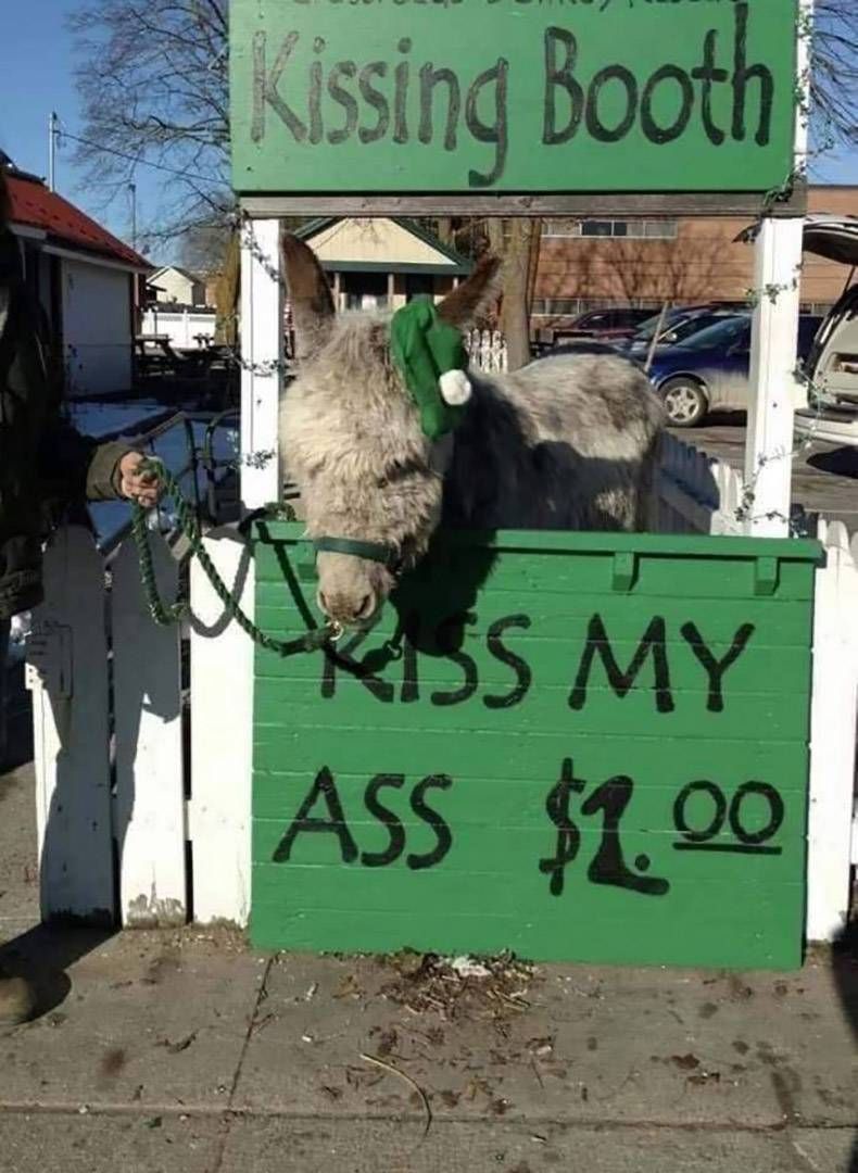 Gewoon een verzameling hilarische foto's #1321