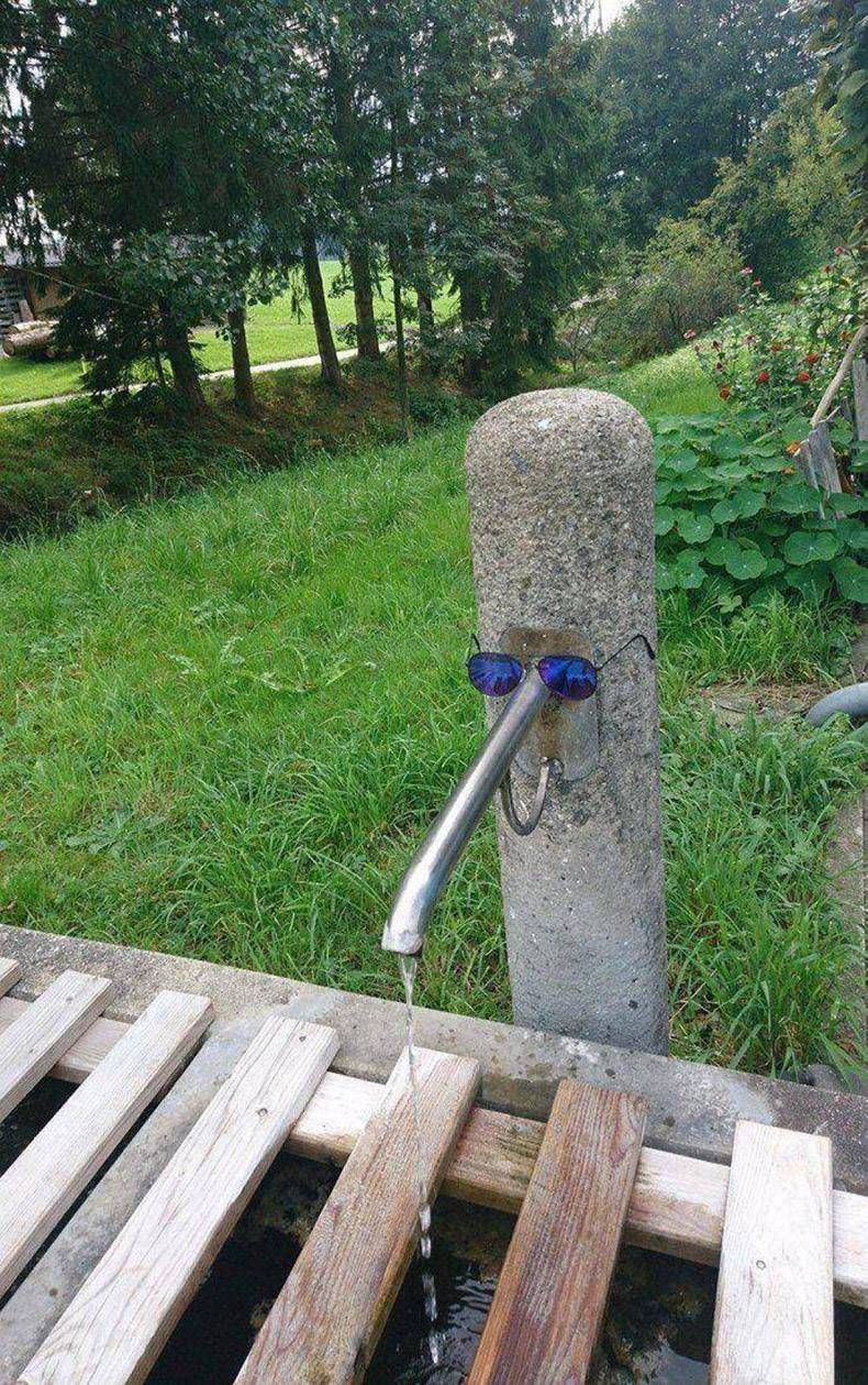 Gewoon een verzameling hilarische foto's #1278