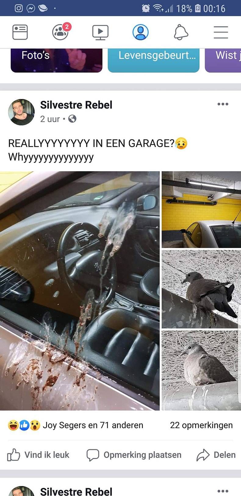 Gewoon een verzameling hilarische foto's #1135
