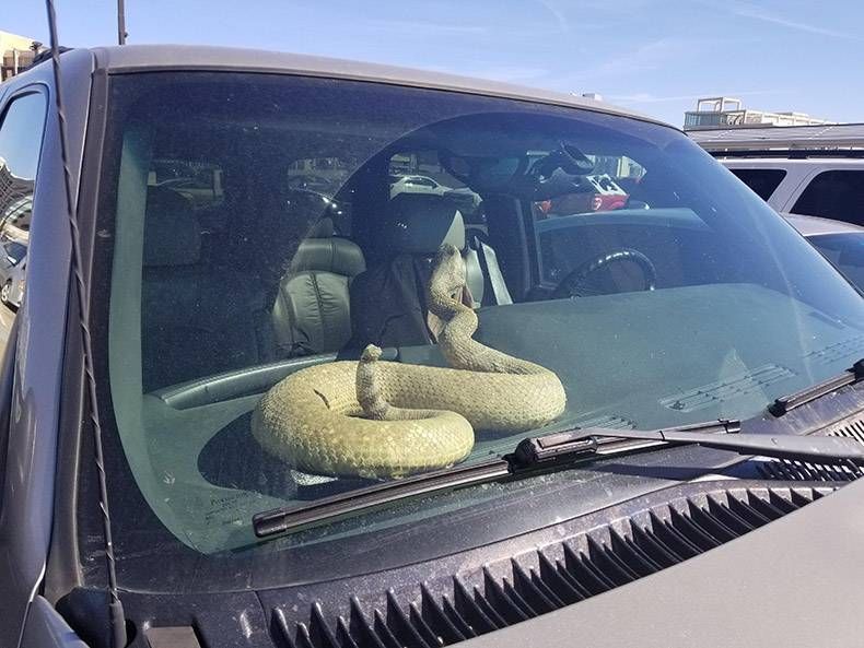 Gewoon een verzameling hilarische foto's #941