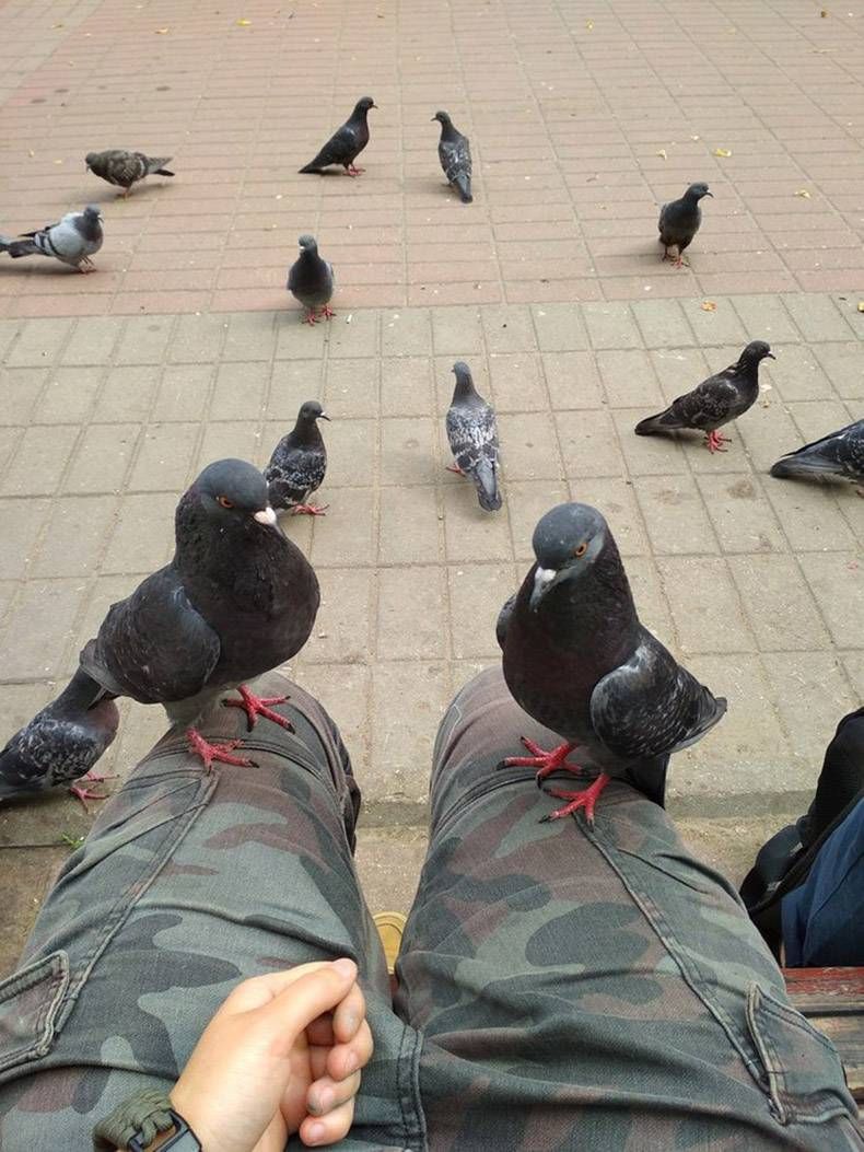 Gewoon een verzameling hilarische foto's #890