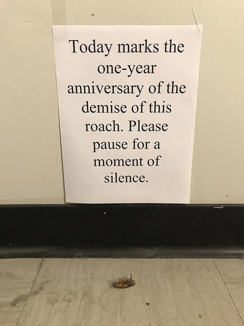 Gewoon een verzameling hilarische foto's #867